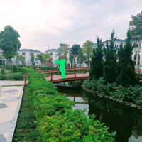 Em Có Mấy Căn Biệt Thự Đảo View Cực Đẹp,Diện Tíchgần 500M2 Vinh Heritage Mipec Tràng An Tp Vinh Na