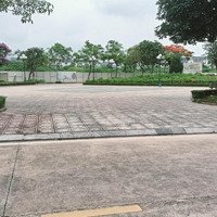 Cần Bán Căn Biệt Thự Song Lập 240M2 Tại Kđt Geleximco ( 32,5 Tỷ )