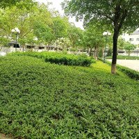 Cần Bán Căn Biệt Thự Song Lập 240M2 Tại Kđt Geleximco ( 32,5 Tỷ )