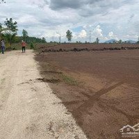 Chủ Ngộp Ra Gấp Lô Biệt Thự 1000M2 Sổ Riêng Xây Nhà Ngay Chỉ 1Tỷ 990 Triệu