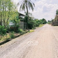 Chủ Ngộp Ra Gấp Lô Biệt Thự 1000M2 Sổ Riêng Xây Nhà Ngay Chỉ 1Tỷ 990 Triệu