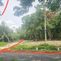 Kẹt Tiền Bán Gấp Lô Đất Nền 3 Mặt Tiền Hơn 2 Triệu (M2) Ngay Đường Phước Bình, Diện Tích 1641M2
