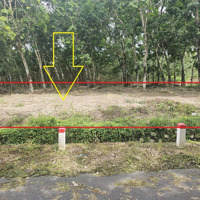 Kẹt Tiền Bán Gấp Lô Đất Nền 3 Mặt Tiền Hơn 2 Triệu (M2) Ngay Đường Phước Bình, Diện Tích 1641M2