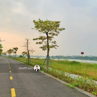 Bán Đất Biệt Thự 300M - Đường Nguyễn Văn Thông, Euro Village 2 - Vị Trí Vàng Tại Hòa Xuân