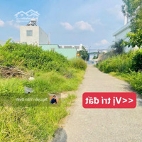 Đất Biển Lộc An- Đất Đỏ, 148M2, Ngang 7M Đường Nhựa, Dân Cư Đông Gần Sát Chợ Giá Bán 1Tyx