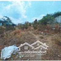 Bán Đgts Đất Tại Xã Phú An, Thị Xã Bến Cát (Nay Là Thành Phố Bến Cát), Tỉnh Bình Dương