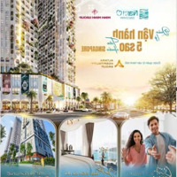 Nam Ô Discovery Điểm Đến Của Sự Hoàn Hảo Quản Lý Vận Hành 5 Sao Tiêu Chuẩn Singapore