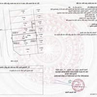 Bán Đất Mặt Tiền Đường Phạm Đình Hổ, Sổ Đỏ Có Sẵn Khu Đô Thị Biển Bình Sơn Ocean Park Giá Đầu Tư