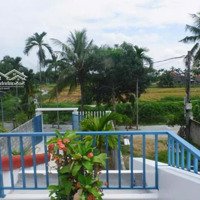 Nhà View Lúa + View Sông An Mỹ, Cẩm Châu, Hội An