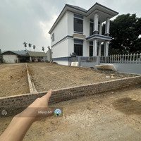 Bán Đất Nền 134M2 Tại Yên Bình, Thạch Thất, Hà Nội, Giá Siêu Hời 2,1 Tỷ