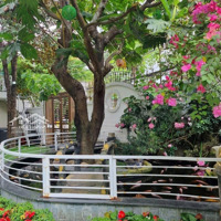 Bán Nhanh Biệt Thự Sân Vườn Đẹp Đường Dương Đình Nghệ Ngay Khu Phố Tây Gần Biển Mỹ Khê Sơn Trà