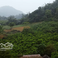 Siêu Phẩm Tuyệt Đẹp Tại Kim Bôi, Hòa Bình, View Đẹp Không Thể Bỏ Lỡ,Diện Tích12Ha, Giá Rẻ, Liên Hệ:0971274648