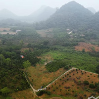 Siêu Phẩm Tuyệt Đẹp Tại Kim Bôi, Hòa Bình, View Đẹp Không Thể Bỏ Lỡ,Diện Tích12Ha, Giá Rẻ, Liên Hệ:0971274648