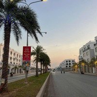Biệt Thự Song Lập Giá Siêu Rẻ Chỉ Khoảng 14Tỷ View Vô Cùng Sang Trọng.chỉ Có Tại Vinhomes Vũ Yên Hp
