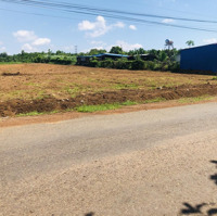 Cần Bán Gấp 50X45=2250M2 Shr Đường Nhựa, Sát Chợ Ngay Thị Xã Giá 38 Triệu/Mn