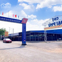 Cần Bán Gấp 50X45=2250M2 Shr Đường Nhựa, Sát Chợ Ngay Thị Xã Giá 38 Triệu/Mn