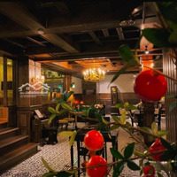 Siêu Phẩm - Cho Thuê Nhà Mặt Phố Tô Hiệu - 120 Triệu, 200M2 X 3 Tầng, Mặt Tiền 8M - Vị Trí Cực Đỉnh