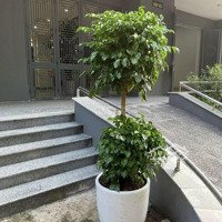 Cho Thuê Căn 3 Ngủ Full Nội Thất Giá Hợp Lý Nhận Nhà 1/1/2025