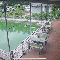 Nhà Vườn 1.700M2 Gần Ubnd Bình Mỹ - Đầy Đủ Công Năng Sử Dụng