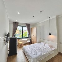 Cho Thuê Chdv Cửa Sổ 35M2 Gần Ngay Sân Bay Tsn