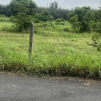 Gia Đình Cần Tiền Gấp Bạn Lại Lô Đất 200M2 Sẵn Thổ Cư Gần Kcn Bàu Bàng, Mặt Tiền Đường Nhựa