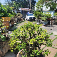 Bán Nhà 1T2L Sân Vườn Góc 2 Mặt Tiền Đường Tân Hoà 2, Hiệp Phú -Diện Tích240M2 Ngang 10.5M Chỉ 20 Tỷ Tl