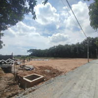 Cho Thuê Kho 3200M2. Đất 10.000M2. Vĩnh Tân. Tân Uyên.