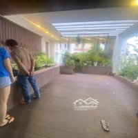 Bán Nhà Mặt Phố Quận Phú Nhuận, Gần Hoa Đào, 6,3X17M, 7 Tầng, Đường 20M, Nhỉnh 50 Tỷ