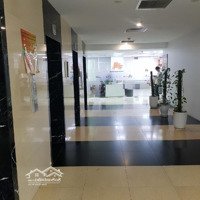 Hiếm! Sàn Thương Mại 1500M Full Sổ - Tòa Nhà Văn Phòng Mipec Tower 229 Tây Sơn - Dòng Tiền 6Tỷ/Năm