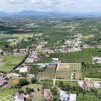 Bán Đất Tại Xã Ninh Gia, Đức Trọng, Lâm Đồng, 660 Triệu, 152 M2 View Đẹp, Giá Tốt