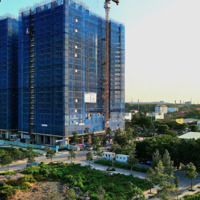 Bán Căn Hộ Citymark Residence Phú Mỹ, Brvt (Giá Siêu Ưu Đãi)