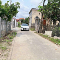 Chính Chủ Gửi Bán Lô Đất Có Sẵn Vườn Cây Ăn Quả Sẵn Tại Hoà Nghĩa - Dương Kinh - Hải Phòng