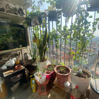 Chính Chủ Bán Gấp Căn Hộ 100M2, Giá Nhỉnh 5 Tỷ, Chung Cư T&T Vĩnh Hưng Hoàng Mai