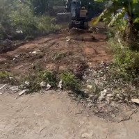 116,5M Đất Trục Chính Chương Dương Thường Tín