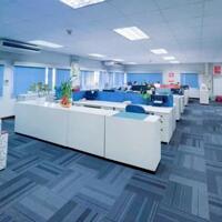 Toà nhà MT Võ Thị Sáu diện tích 450m2, đang cho thuê 300tr/tháng, giá 140 tỷ