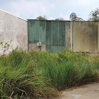 Chủ Bán Nhanh Lô Đất Ngay Đường Tân Hiệp 23, Tân Hiệp, Tân Uyên Giá 550 Triệu/250M2, Gần Trường Mầm Non