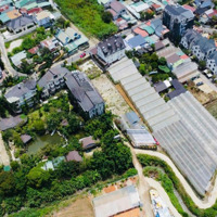 Bán Nhanh Khuôn Đất An Bình Đà Lạt Ngang 28M View Cáp Treo Đống Đa 428M2 Chỉ 13,5 Tỷ Tl