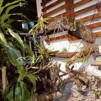 Chuyển Về Quê Nên Cần Bán Căn Hộ Fpt Plaza 1. 2Pn