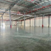 Chính Chủ Cho Thuê Kho, Xưởng Tiêu Chuẩn: 6000 M2 Tại: Khu Công Nghiệp Phố Nối A - Hưng Yên.