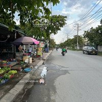 Hạ 700 Triệu Bán Đất Mặt Tiền Kinh Doanh Chợ Từ Văn Phước Tặng Kèm Kiot Và Trọ Trên Đất Thuê 19 Triệu/Thang