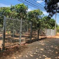NHƯỢNG GẤP LÔ ĐẤT 1.800m2 NẰM GẦN KCN TÂN QUAN, BECAMEX, NGAY CHỢ DÂN ĐÔNG GIÁ 290TR