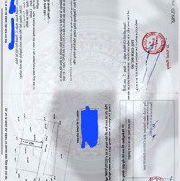 Bán Đất Tại Đường Tx25, Phường Thạnh Xuân, Q12 Đang Mở Rộng Liên Phường