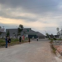 Đất Đấu Giá Siêu Hot Đối Diện Cổng Vào Khu Công Nghiệp Phổ Yên, Thái Nguyên, Kinh Doanh Đc Ngay