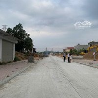 Đất Đấu Giá Siêu Hot Đối Diện Cổng Vào Khu Công Nghiệp Phổ Yên, Thái Nguyên, Kinh Doanh Đc Ngay