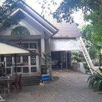 Đất Biệt Thự Vườn Kế Quốc Lộ 13, P. Lái Thiêu, Tp. Thuận An