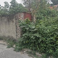 Lô Góc, Ô Tô Nở Hậu, 75M Tại Kim Sơn, Gia Lâm