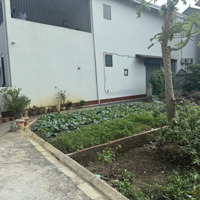 Cần Bán 47M Lô Góc Đường Ô Tô Vào Nhà Tại Thôn Lê Xá , Xã Đa Tốn, Gia Lâm , Hà Nội
