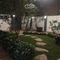 Cho Thuê Biệt Thự Sân Vườn 4 Tầng Diện Tích 250M2 Mặt Tiền 10M Khu Phố Âu Cơ, Tây Hồ, Hà Nội