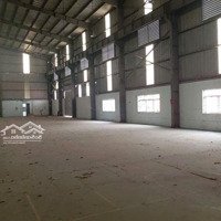 Cho Thuê 1.000M2 Nhà Kho, Xưởng Phan Trọng Tuệ, Thanh Trì, Hn. Khung Zamil Chống Nóng , Mái Cao 12