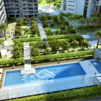 Bán Chân Đế Chung Cư 79 Rosetown 70M2, Giá Cực Chất 5,6 Tỷ Ngọc Hồi, Hoàng Mai, Góc,Thuê 50 Triệu